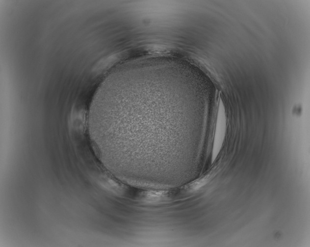 X0000096410093200802071704