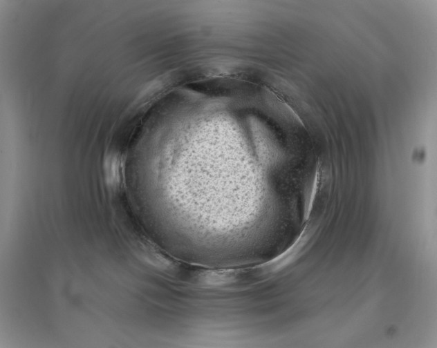 X0000096410094200802071704