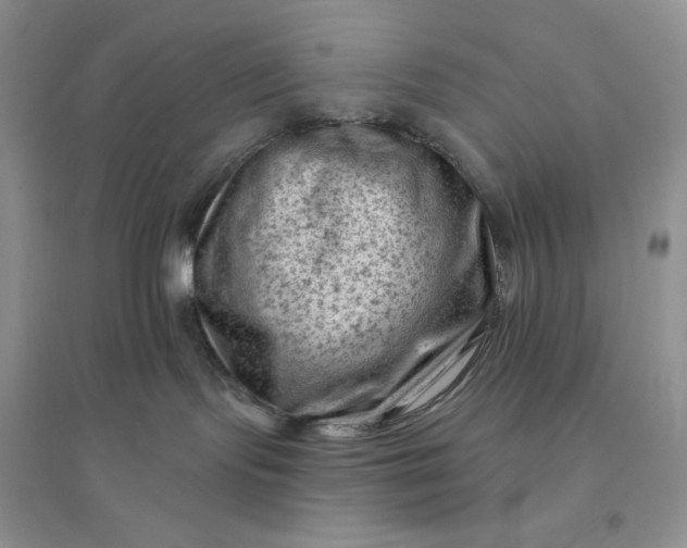 X0000096410095200802071704