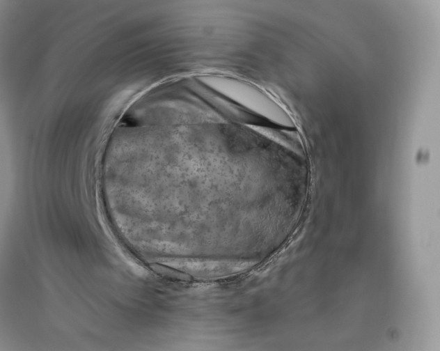 X0000096410097200802071703