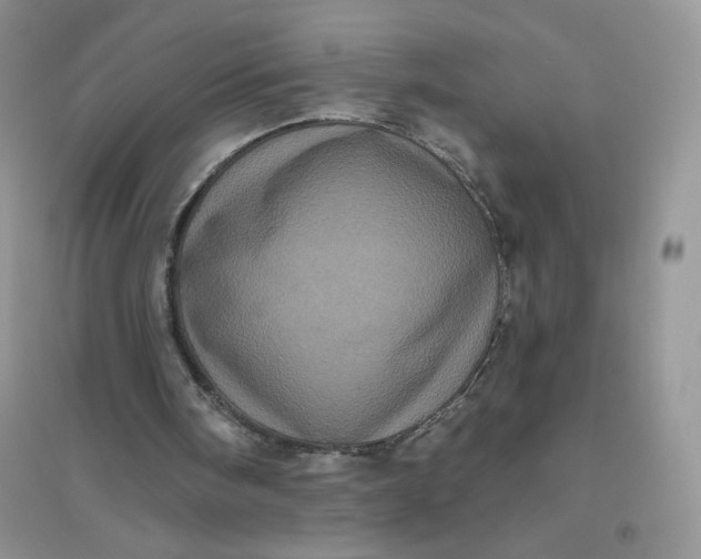 X0000096410098200802071703