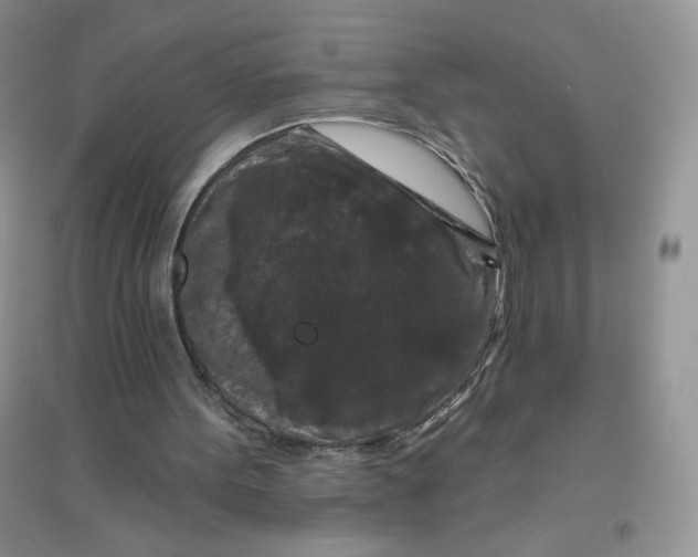 X0000096410099200802071703