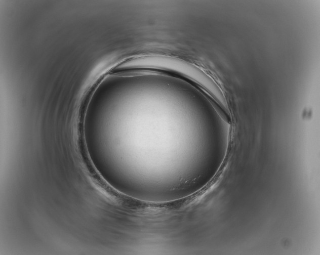 X0000096410101200802071703