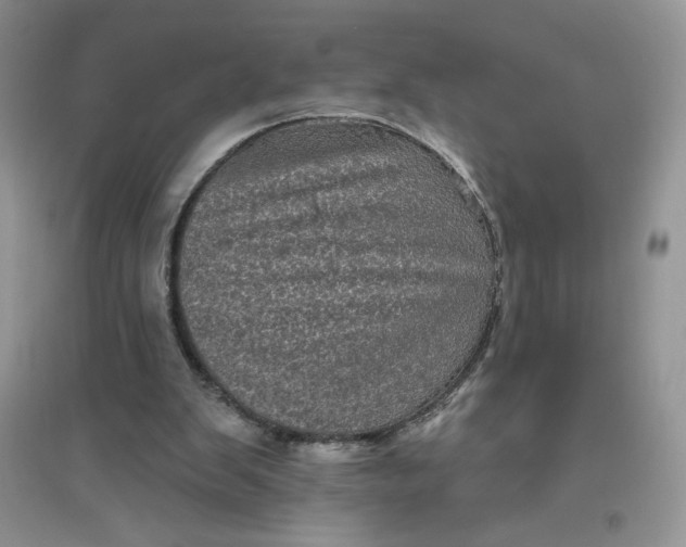 X0000096410103200802071703