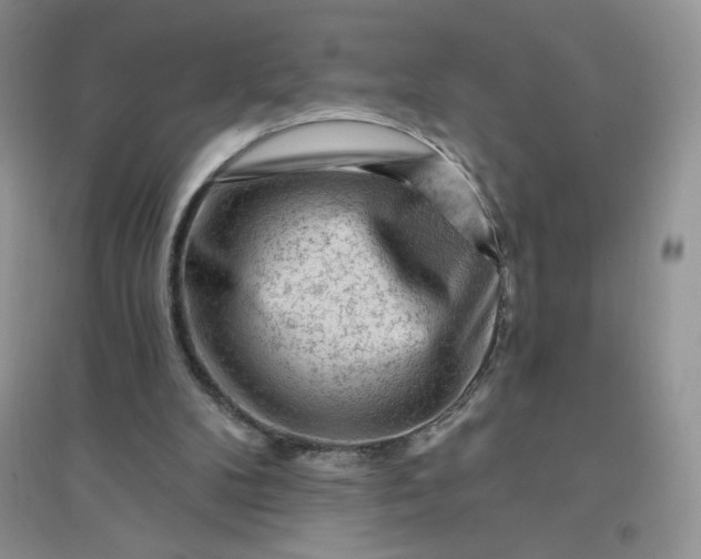 X0000096410104200802071703