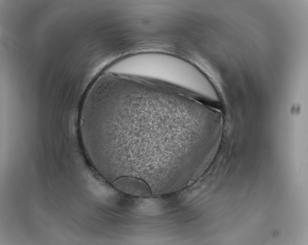 X0000096410107200802071703