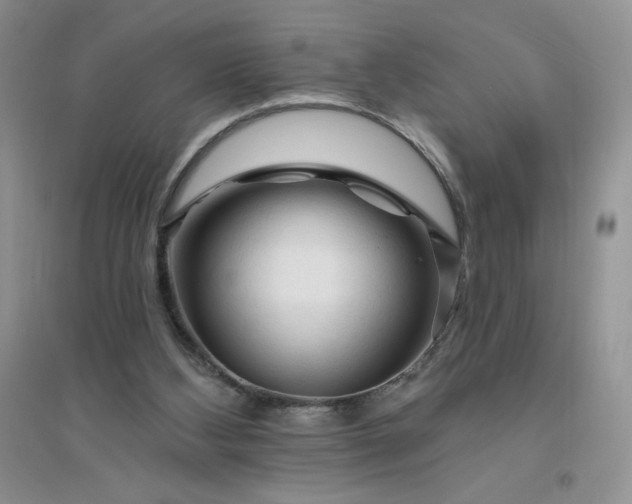 X0000096410108200802071703