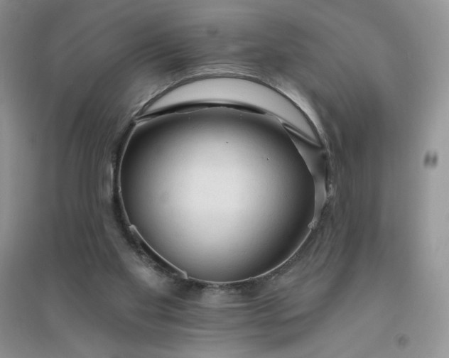 X0000096410109200802071703