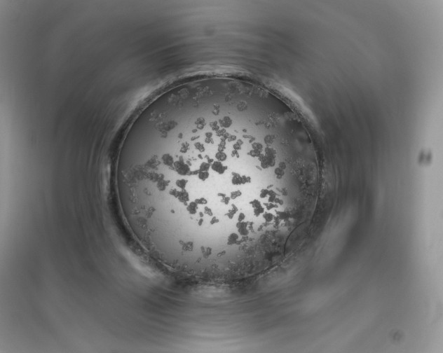 X0000096410110200802071703