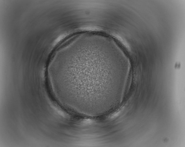 X0000096410111200802071703