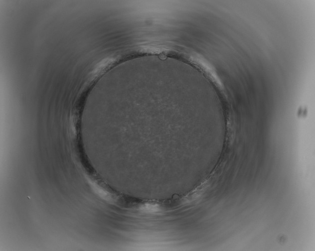 X0000096410114200802071703