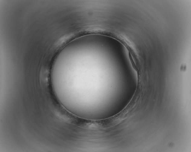 X0000096410115200802071703