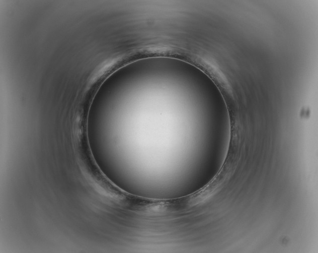 X0000096410116200802071703