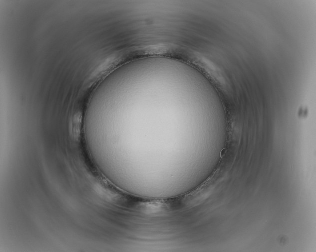 X0000096410118200802071703