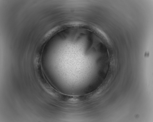 X0000096410119200802071703