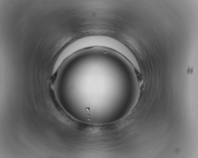 X0000096410120200802071703