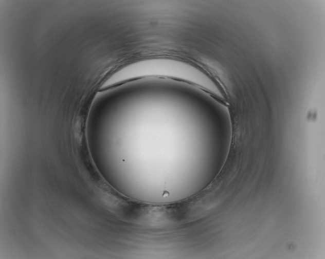 X0000096410121200802071703