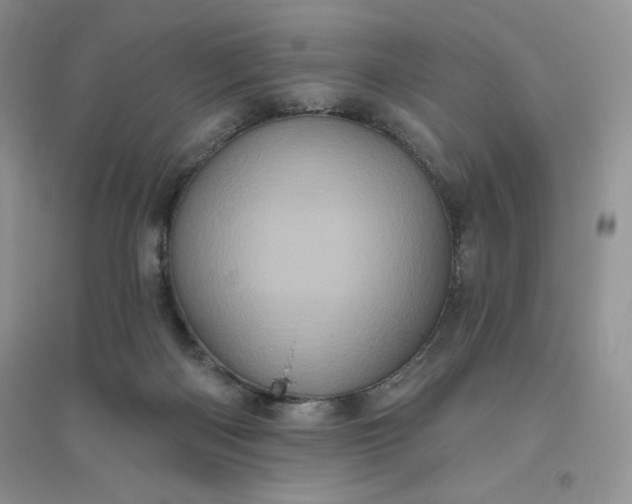 X0000096410122200802071703