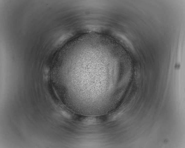 X0000096410123200802071703