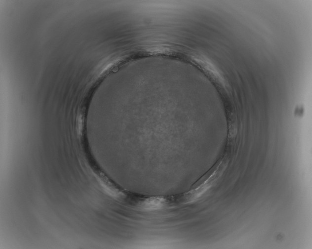 X0000096410124200802071703