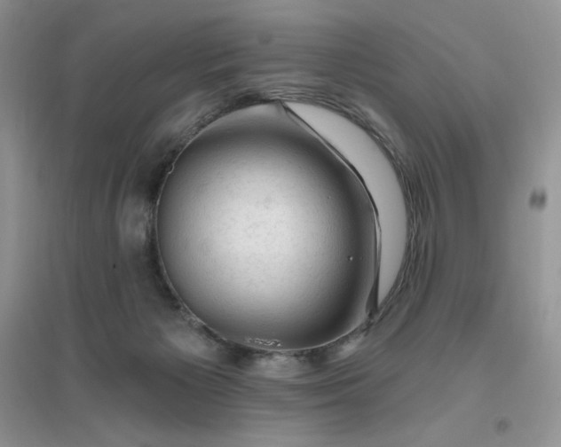 X0000096410125200802071703