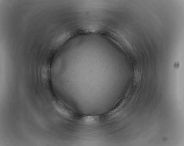 X0000096410126200802071703