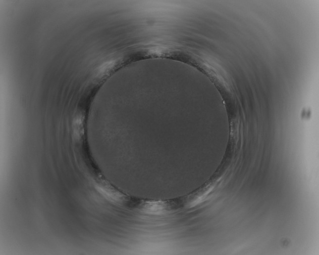 X0000096410127200802071703