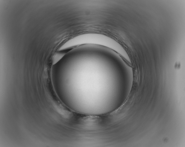 X0000096410128200802071703