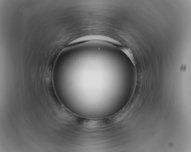 X0000096410129200802071703