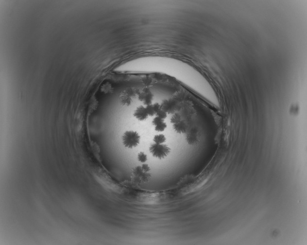 X0000096410131200802071703