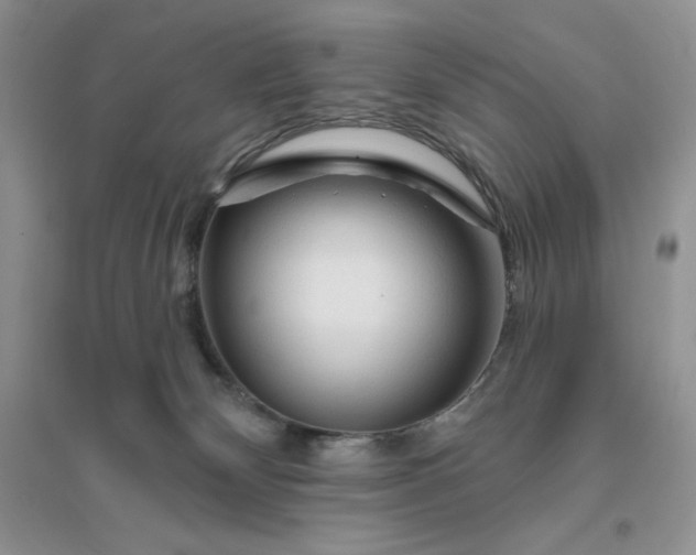 X0000096410132200802071703