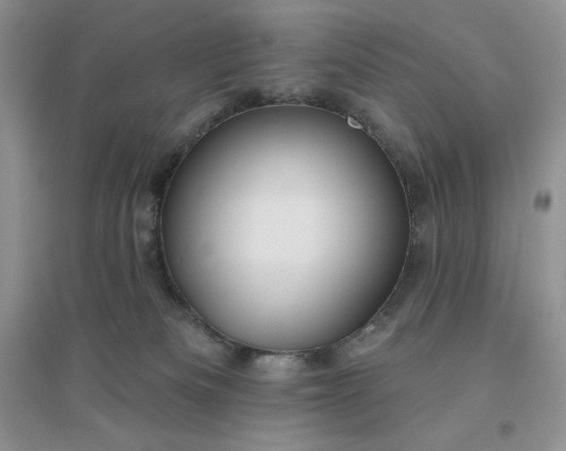 X0000096410133200802071703