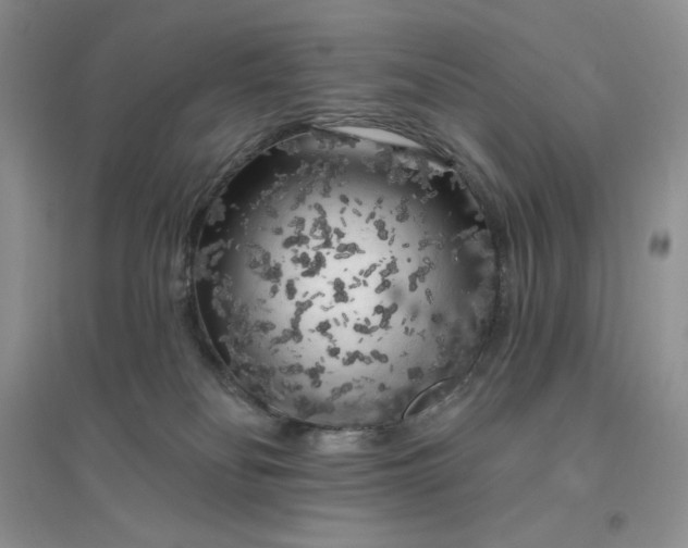 X0000096410134200802071703