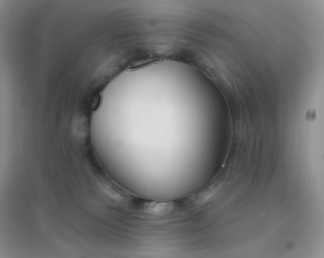 X0000096410135200802071703