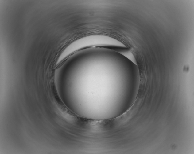 X0000096410136200802071703