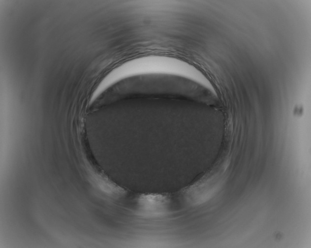 X0000096410137200802071702