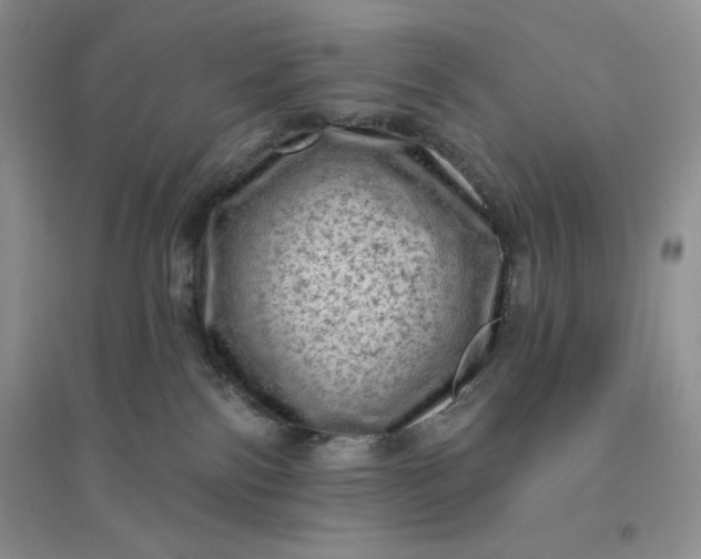 X0000096410138200802071702