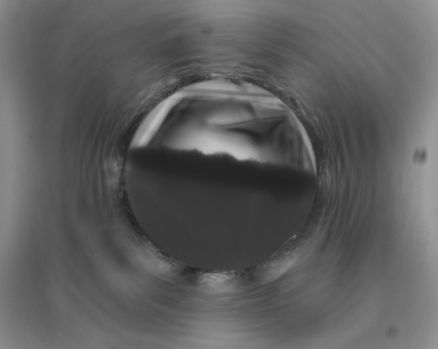 X0000096410139200802071702