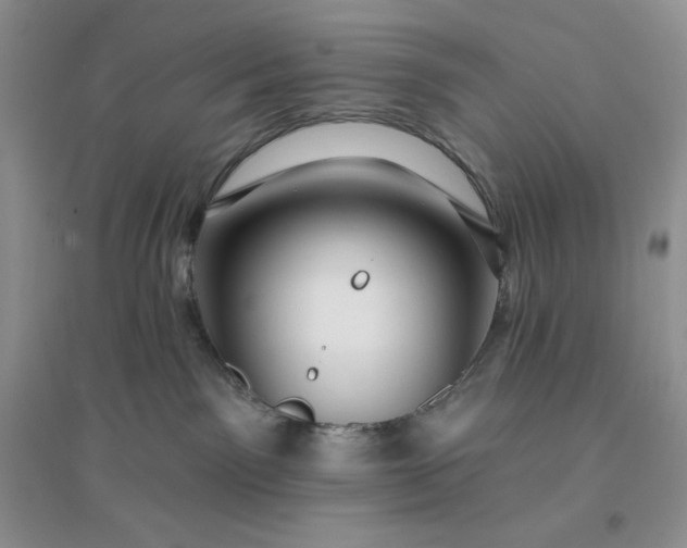 X0000096410141200802071702