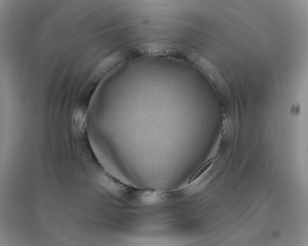 X0000096410142200802071702