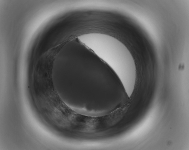 X0000096410143200802071702