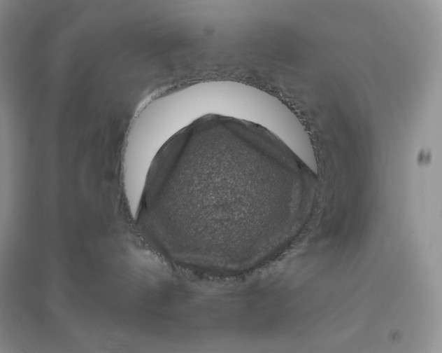 X0000096410144200802071702