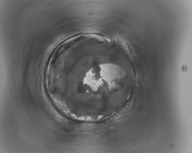 X0000096410145200802071702