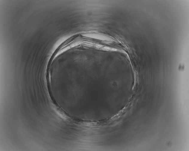 X0000096410147200802071702