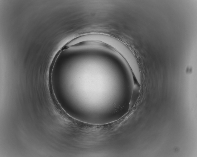 X0000096410148200802071702