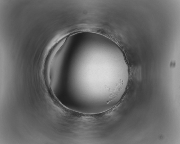 X0000096410150200802071702