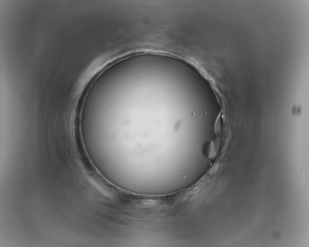 X0000096410151200802071702