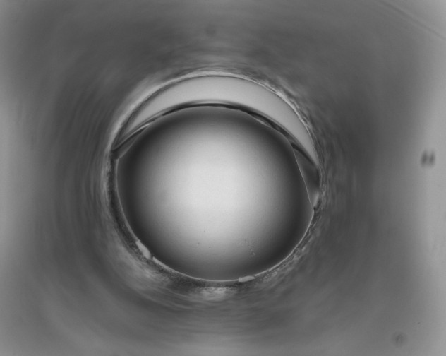 X0000096410152200802071702