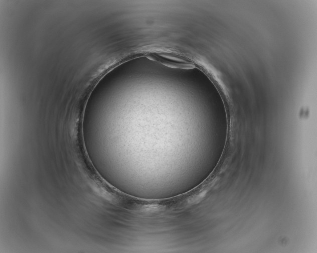 X0000096410153200802071702