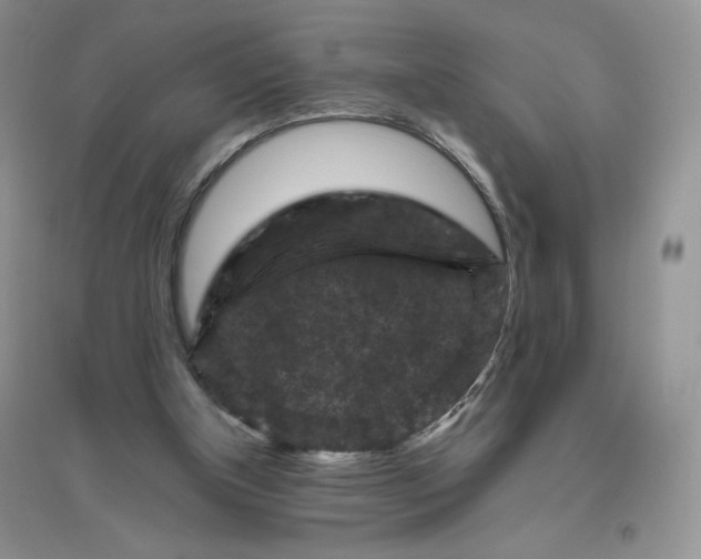 X0000096410154200802071702